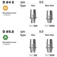 LINK ABUTMENT OSSTEM - Image 4